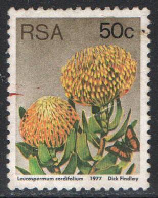 South Africa Scott 489 Used